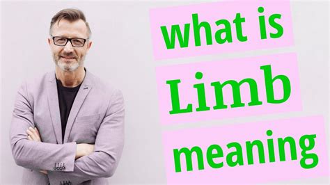 limbs deutsch|limben bedeutung.